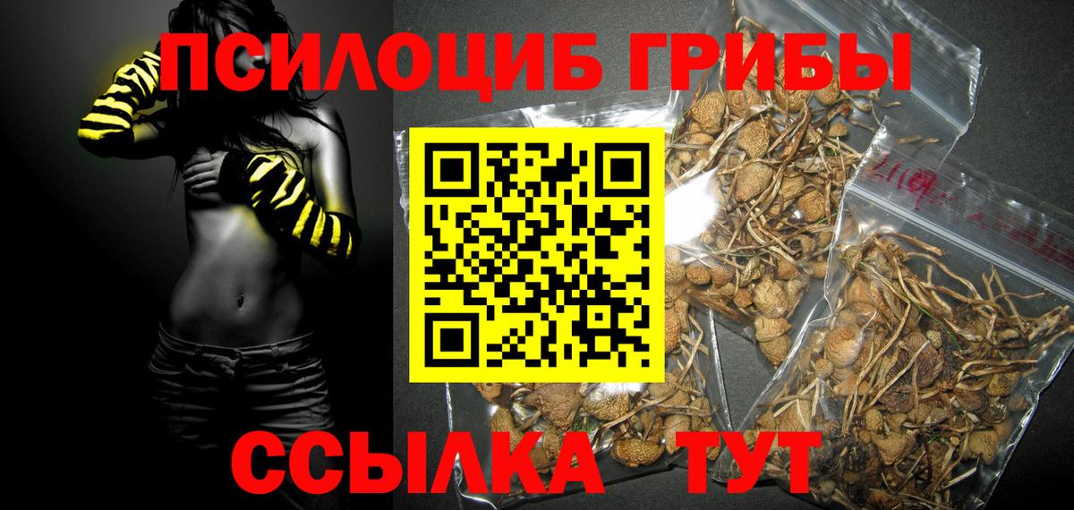 Галлюциногенные грибы MAGIC MUSHROOMS  Псилоцибиновые грибы Psilocybine cubensis  Вход с VPN  Трёхгорный 